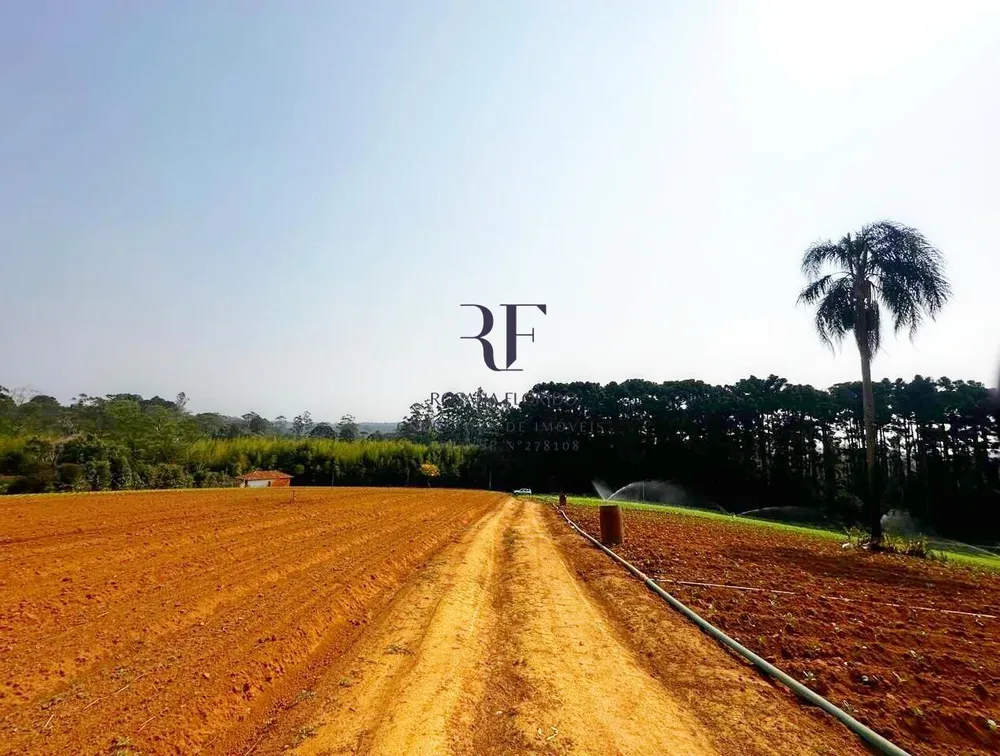 Terreno, 19 hectares - Foto 11