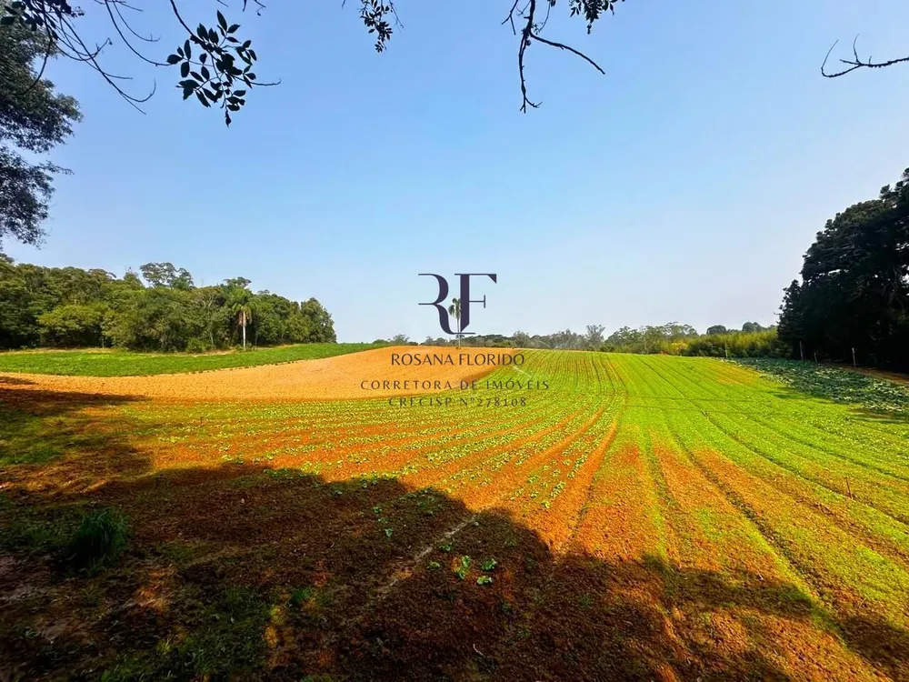 Terreno, 19 hectares - Foto 6