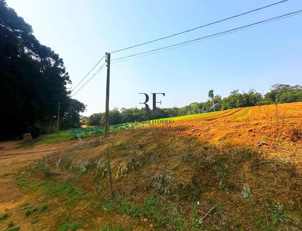 Terreno, 19 hectares - Foto 16
