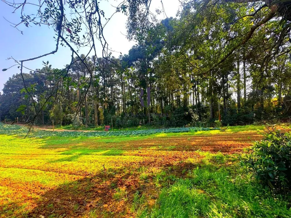 Terreno, 19 hectares - Foto 1