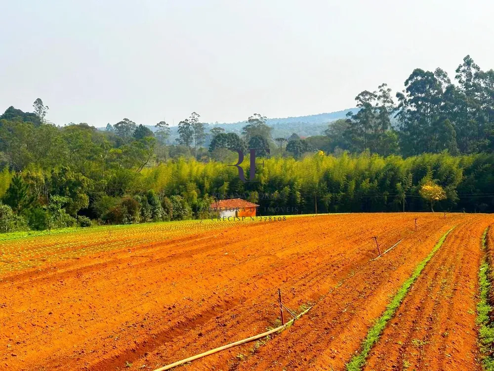 Terreno, 19 hectares - Foto 8