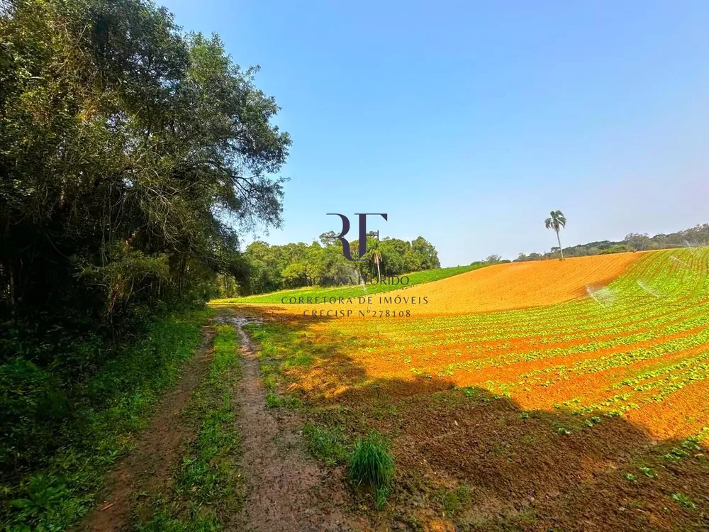 Terreno, 19 hectares - Foto 3
