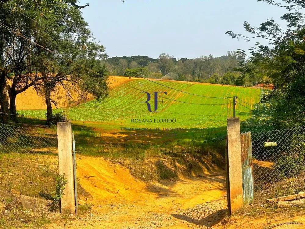 Terreno, 19 hectares - Foto 9