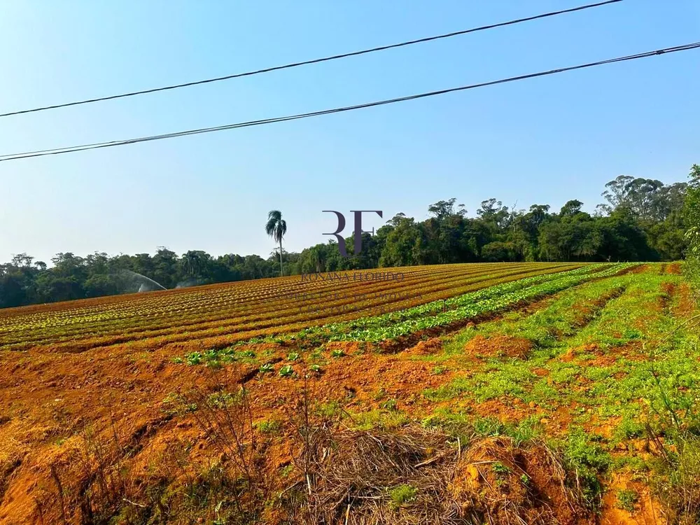 Terreno, 19 hectares - Foto 4