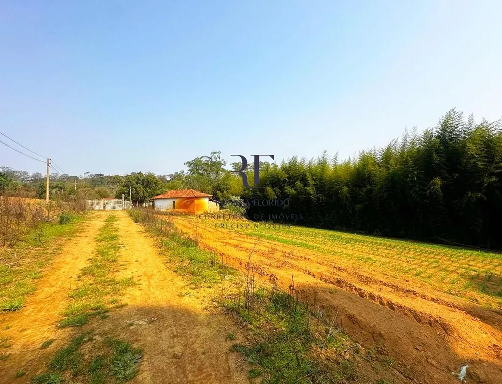 Terreno, 19 hectares - Foto 12