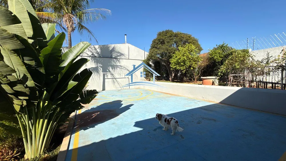 Casa, 4 quartos, 520 m² - Foto 15
