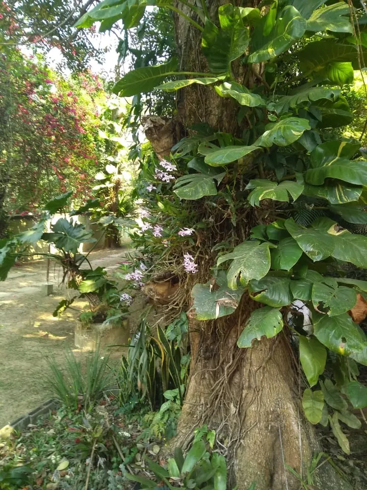 Chácara, 2 quartos - Foto 14