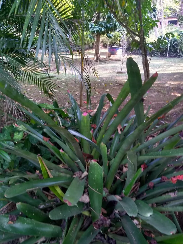 Chácara, 2 quartos - Foto 11