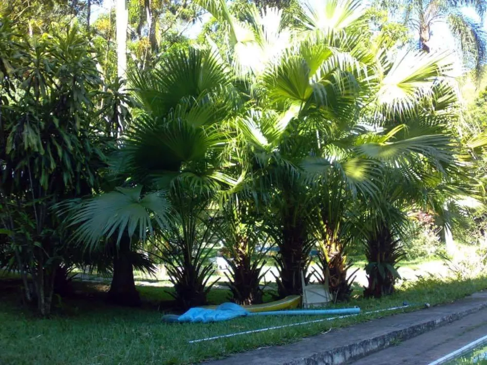 Sítio, 4 quartos, 29250 m² - Foto 8