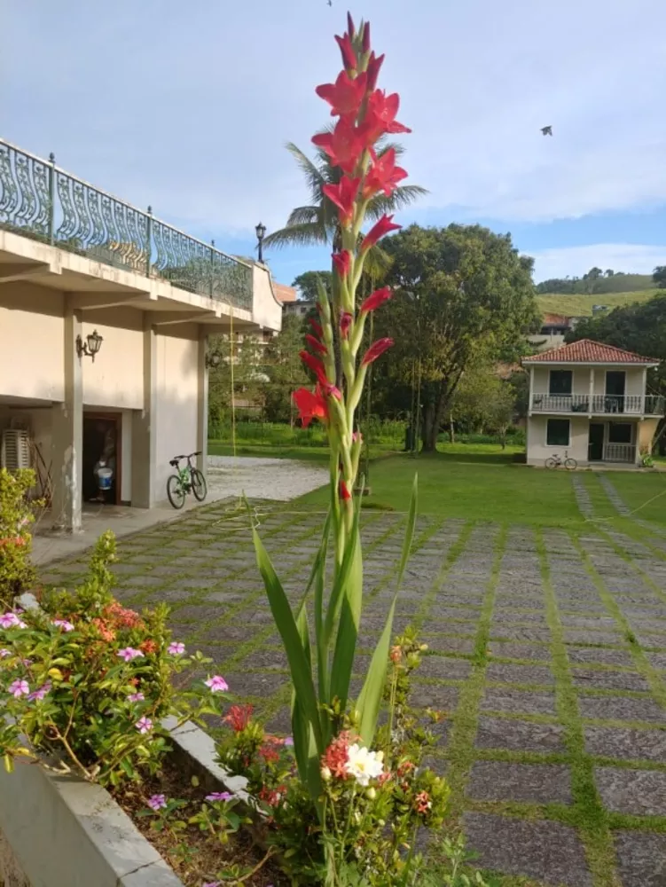 Chácara, 6 quartos - Foto 47