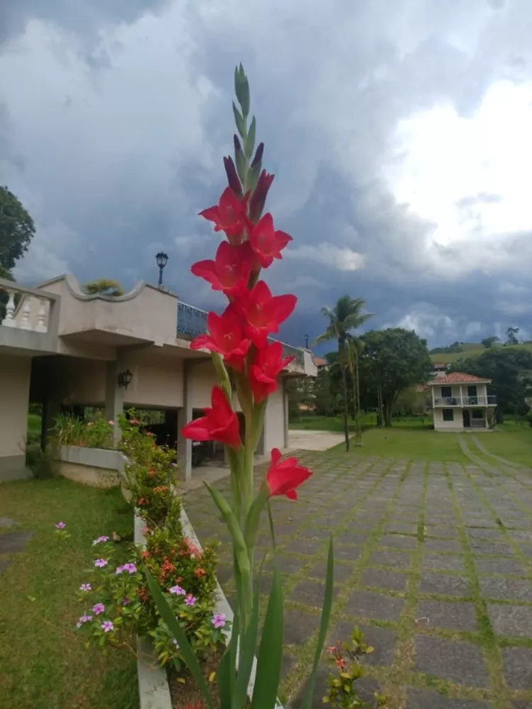 Chácara, 6 quartos - Foto 48