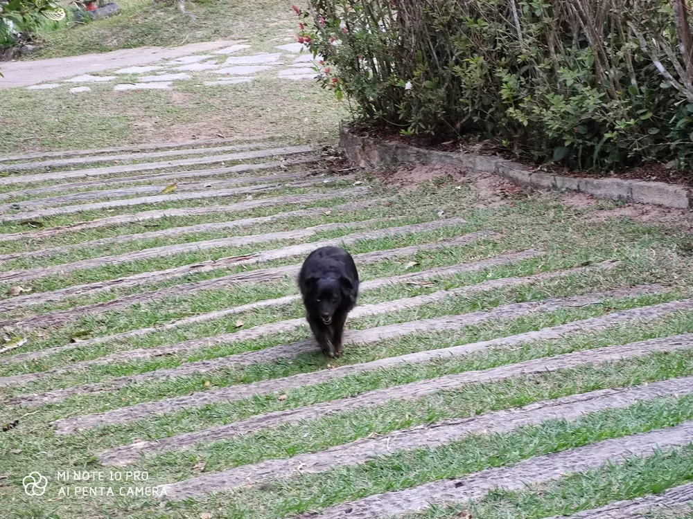 Sítio, 4 quartos, 6500 m² - Foto 23