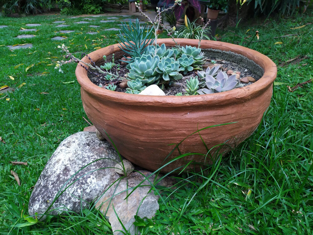 Sítio, 4 quartos, 6500 m² - Foto 16