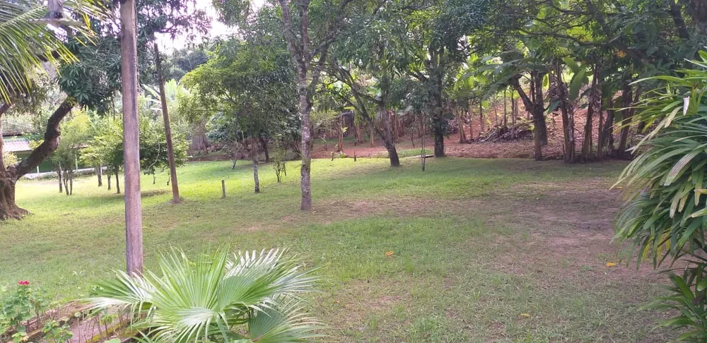 Sítio, 4 quartos, 6500 m² - Foto 6