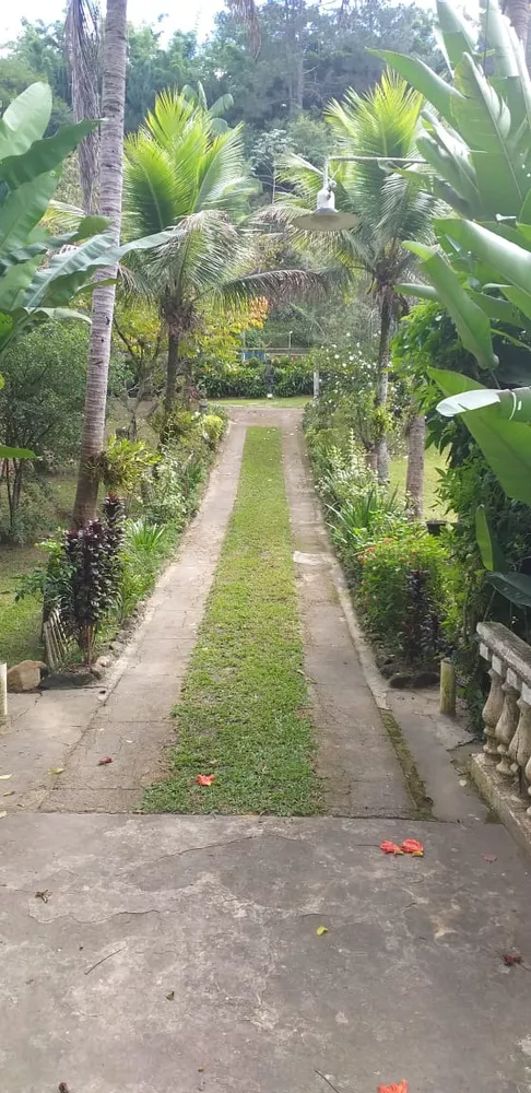 Sítio, 4 quartos, 6500 m² - Foto 4