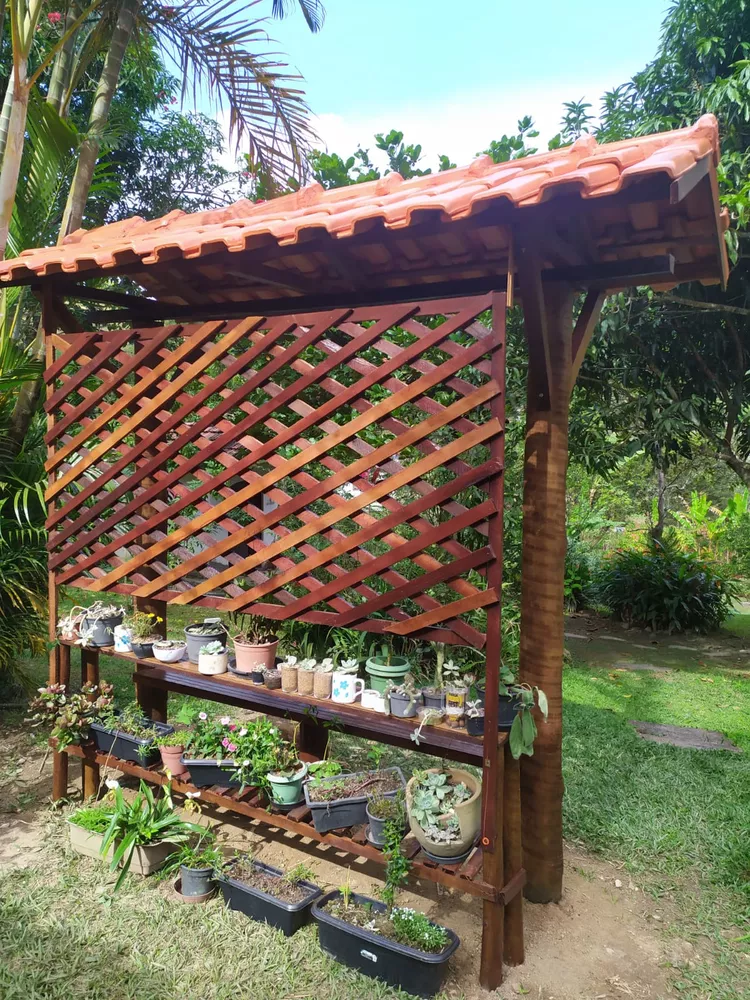 Sítio, 4 quartos, 6500 m² - Foto 12