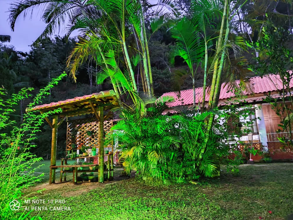 Sítio, 4 quartos, 6500 m² - Foto 1