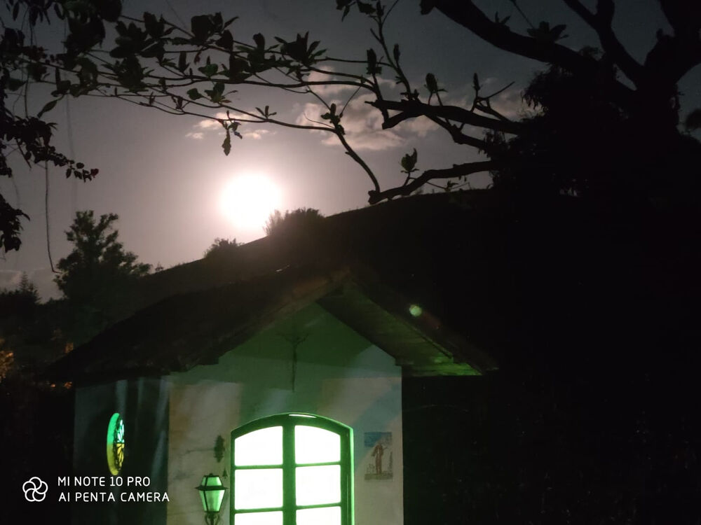 Sítio, 4 quartos, 6500 m² - Foto 25