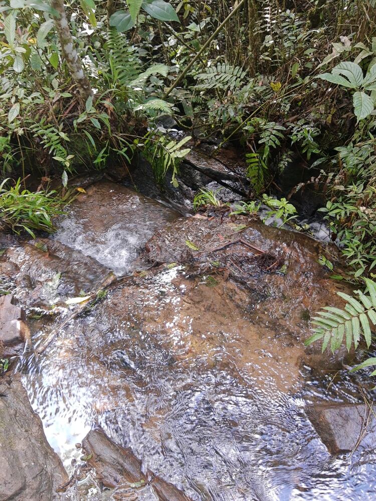 Sítio, 3 quartos, 51 hectares - Foto 4