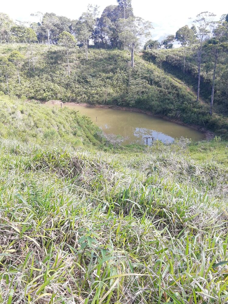 Sítio, 3 quartos, 51 hectares - Foto 3