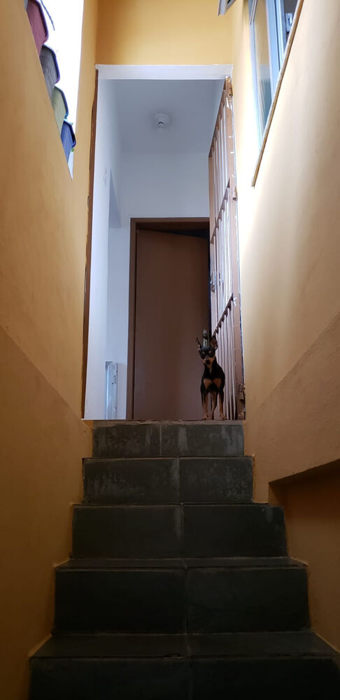 Apartamento, 3 quartos, 48 m² - Foto 12