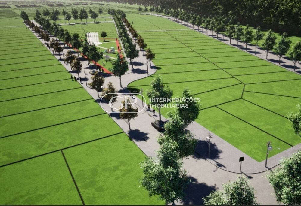 Terreno, 250 m² - Foto 3