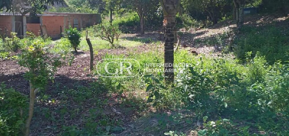 Terreno, 300 m² - Foto 4