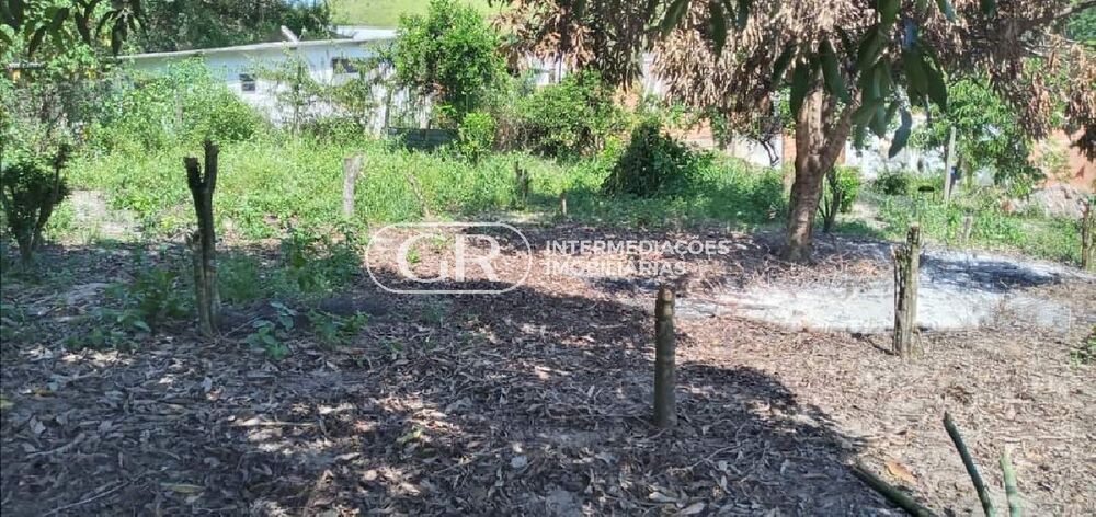 Terreno, 300 m² - Foto 3