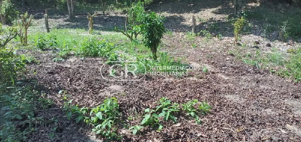 Terreno, 300 m² - Foto 5