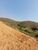 Terreno, 300 m² - Foto 4