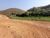 Terreno, 300 m² - Foto 1