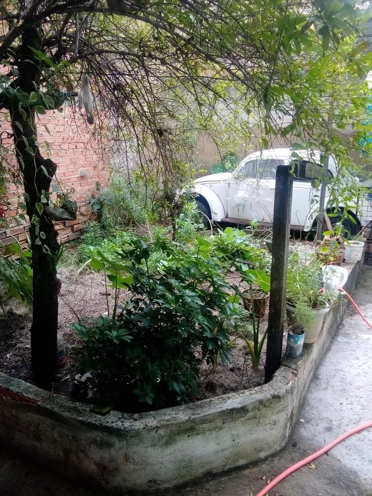 Casa, 3 quartos - Foto 14