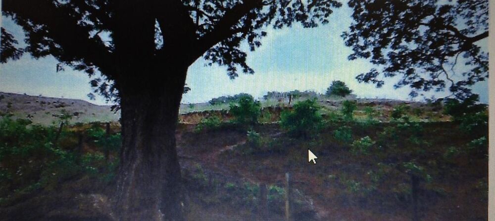 Fazenda-Sítio-Chácara, 1 quarto - Foto 4