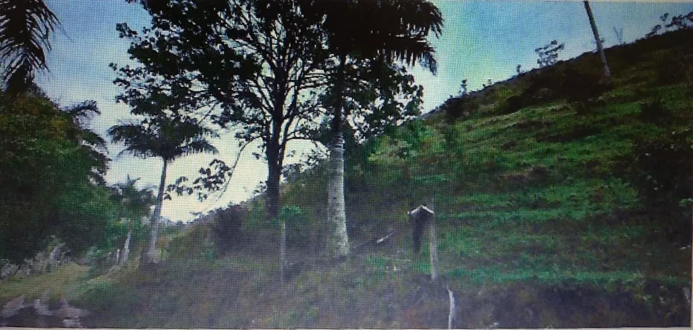 Fazenda-Sítio-Chácara, 1 quarto - Foto 3