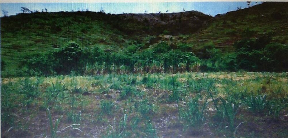 Fazenda-Sítio-Chácara, 1 quarto - Foto 6