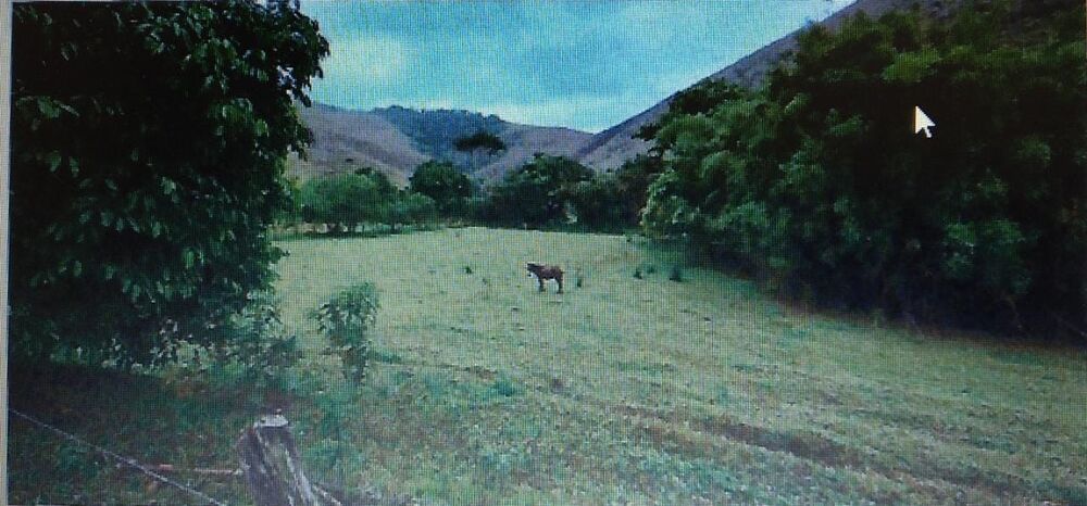 Fazenda-Sítio-Chácara, 1 quarto - Foto 1