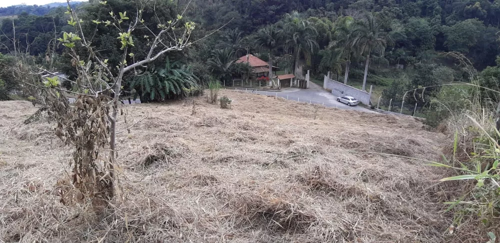 Chácara, 1 quarto, 2100 m² - Foto 9