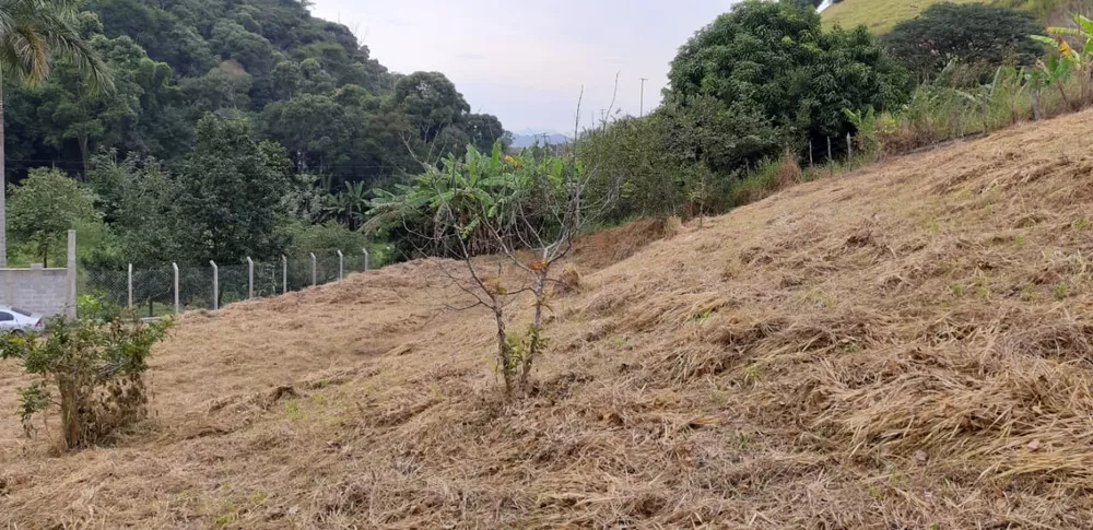 Chácara, 1 quarto, 2100 m² - Foto 12