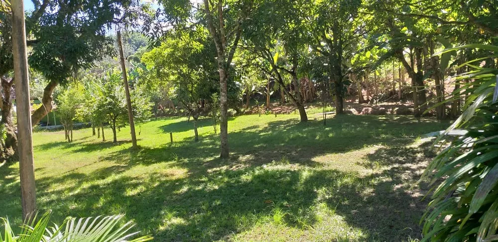 Sítio, 6 quartos, 3 hectares - Foto 18