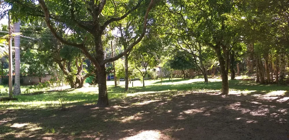 Sítio, 6 quartos, 3 hectares - Foto 4