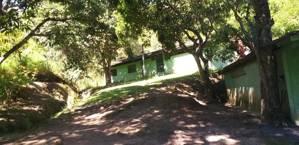 Sítio, 6 quartos, 3 hectares - Foto 6