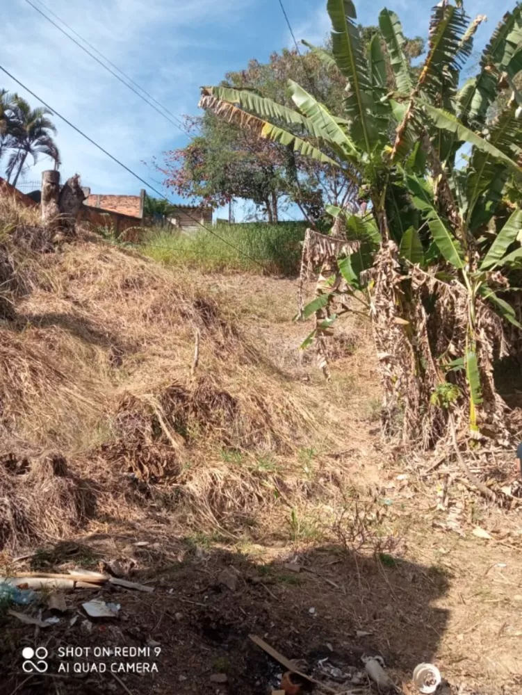 Casa, 3 quartos - Foto 20