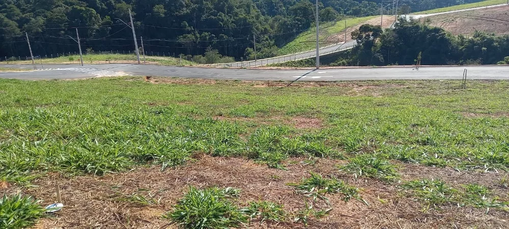 Terreno, 254 m² - Foto 4