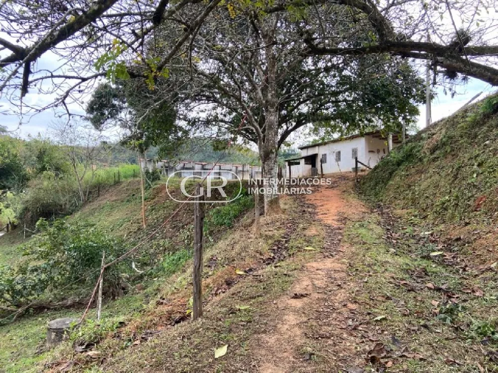 Fazenda, 3 quartos - Foto 22