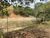 Fazenda, 3 quartos - Foto 3