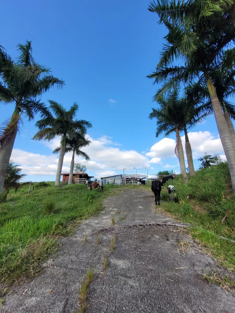 Sítio, 1 quarto, 2 hectares - Foto 6