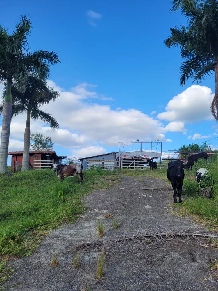 Sítio, 1 quarto, 2 hectares - Foto 5