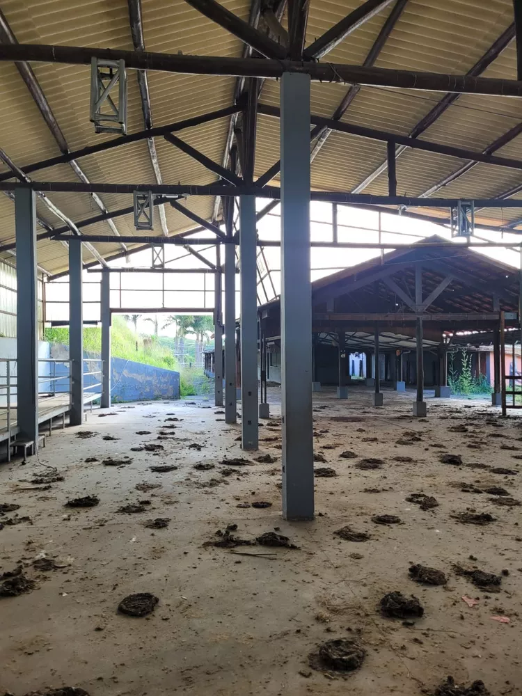 Sítio, 1 quarto, 2 hectares - Foto 14