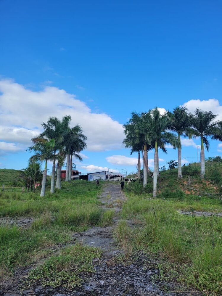 Sítio, 1 quarto, 2 hectares - Foto 1