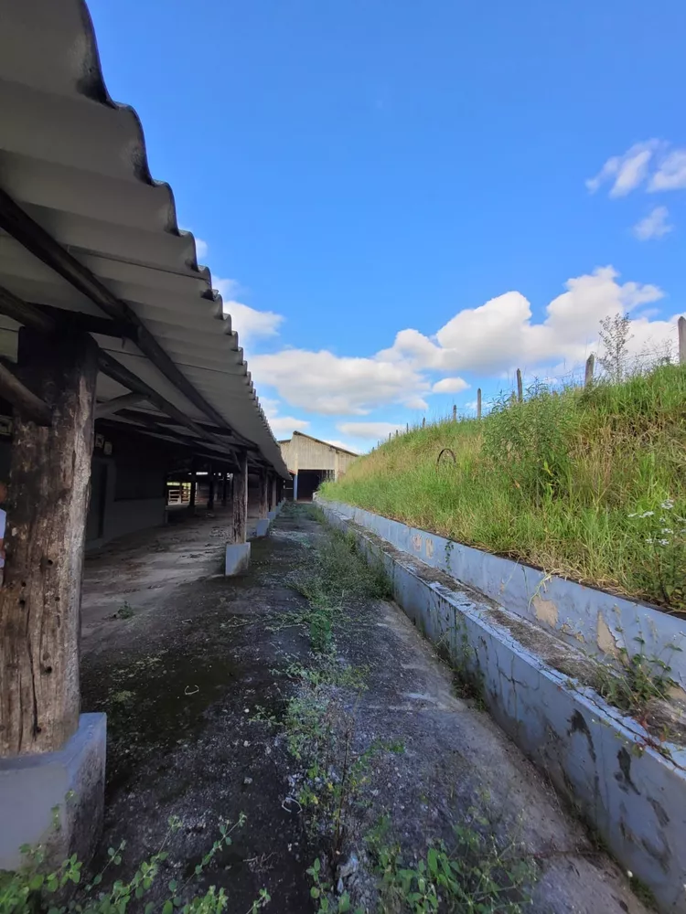 Sítio, 1 quarto, 2 hectares - Foto 7